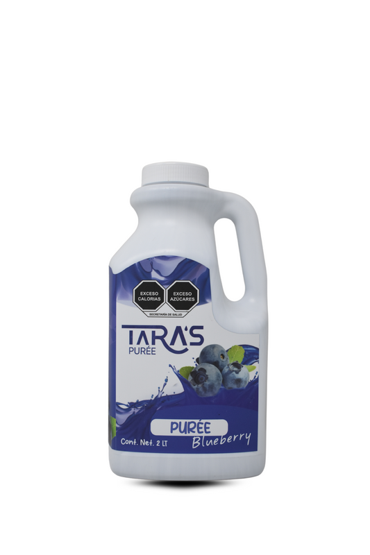 PURÉE DE FRUTA CONCENTRADO BLUEBERRY